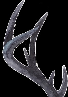 創(chuàng)意動(dòng)物觸角水彩透明素材