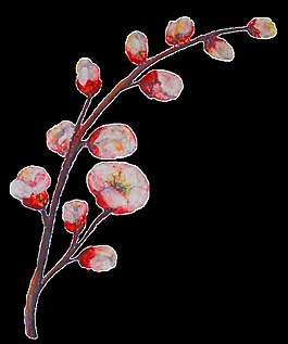 紅色桃花透明裝飾素材