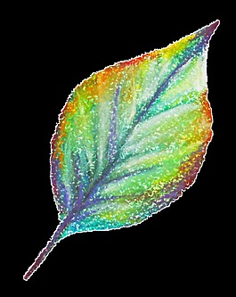 繽紛樹葉精致透明裝飾素材