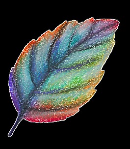 繽紛樹葉透明裝飾素材