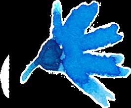 藍色系涂鴉花卉裝飾素材