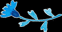 清新浪漫婚禮花朵裝飾素材