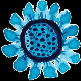 藍(lán)色太陽(yáng)花裝飾素材
