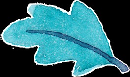 漂浮树叶装饰素材