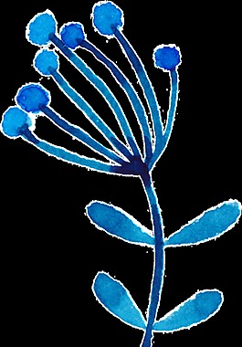 藍(lán)色清新花朵裝飾素材