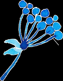 浪漫手绘花朵装饰素材