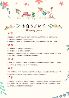 多肉養(yǎng)護小知識