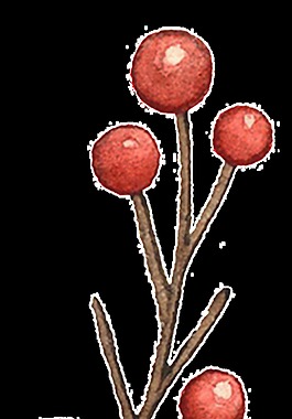 果實(shí)水彩裝飾圖