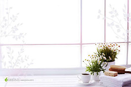 绿色植物窗户banner背景素材