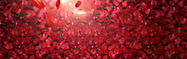 浪漫紅色花瓣banner背景素材