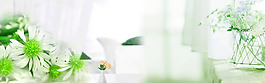 清新綠色植物banner背景素材