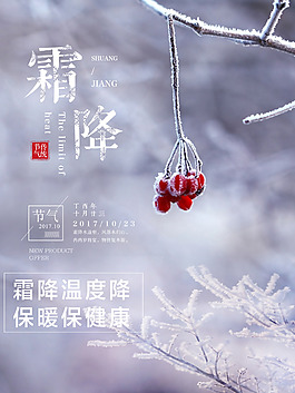 霜降節(jié)氣唯美海報(bào)矢量圖
