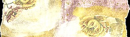 金黃色花朵水彩透明插畫(huà)裝飾素材