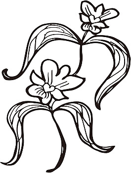 盛開花朵素材