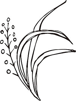 炫黑简约线条花朵素材