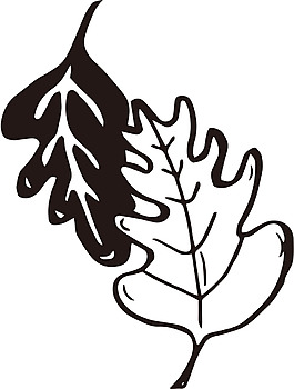 黑白樹葉矢量素材
