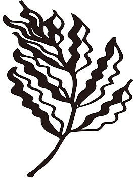 水墨矢量線條花朵素材