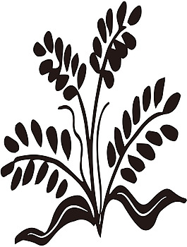 植物生長矢量線條花朵素材