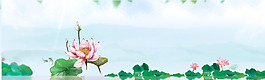天空荷塘荷花荷葉淘寶banner背景