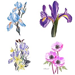時(shí)尚手繪花朵插畫(huà)