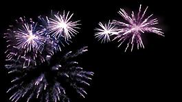 夜空中紫色花束煙花綻放視頻素材