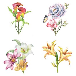 時(shí)尚水彩繪花朵插畫