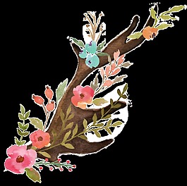花朵樹枝手繪水彩透明裝飾花朵素材