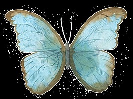 藍(lán)色蝴蝶水彩透明裝飾圖案