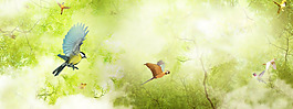 小清新花鳥背景