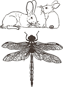 卡通動物矢量素材