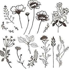 花朵葉子矢量素材