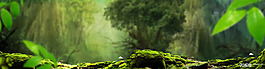 小清新綠葉森林背景
