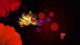 大氣國(guó)風(fēng)花朵動(dòng)態(tài)背景視頻素材