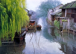 水墨小河植物裝飾畫(huà)