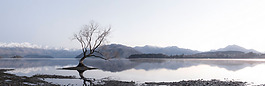 冬季雪景湖邊樹淘寶banner背景