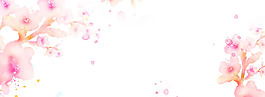 粉色桃花花瓣淘寶banner背景