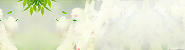 簡(jiǎn)約清新飛云綠葉淘寶banner背景