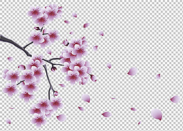春天粉紅色桃花飄舞免摳png透明圖層素材