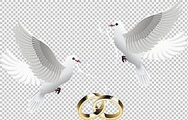 婚禮對(duì)戒和白鴿免摳png透明圖層素材