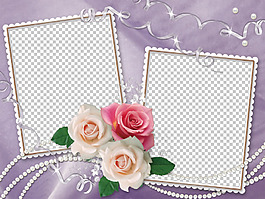 紫色背景玫瑰邊框免摳png透明圖層素材
