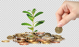手拿金幣小樹苗免摳png透明圖層素材