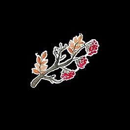 秋天叶子装饰素材