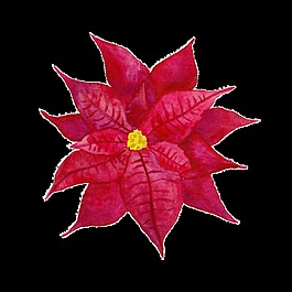 葉子透明素材