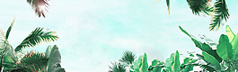 清新綠色葉子植物banner背景素材