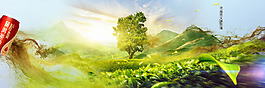 清新綠色草地banner背景素材