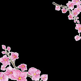 粉色花朵邊框時尚巴黎卡通透明素材