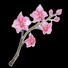 粉色花朵時尚巴黎卡通透明素材