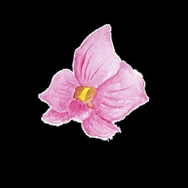 粉紫色手繪花朵時尚巴黎卡通透明素材