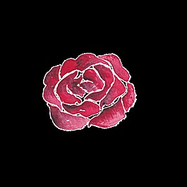 紅色印花花朵時尚巴黎卡通透明素材
