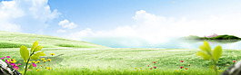 清新綠色草地banner背景素材
